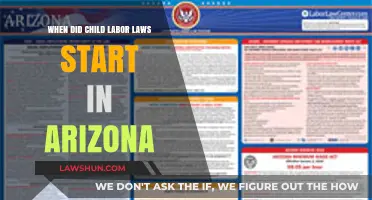 Arizona's Child Labor Laws: Origins and Early Protections