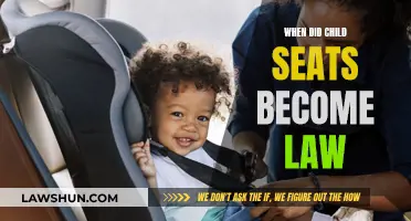 The Evolution of Child Seat Laws: Safety First