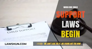 Tracing the Origins: When Did Child Support Laws Begin?