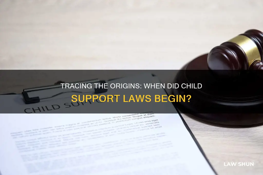 when did child support laws begin