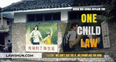 China's One-Child Policy: When and Why It Was Outlawed
