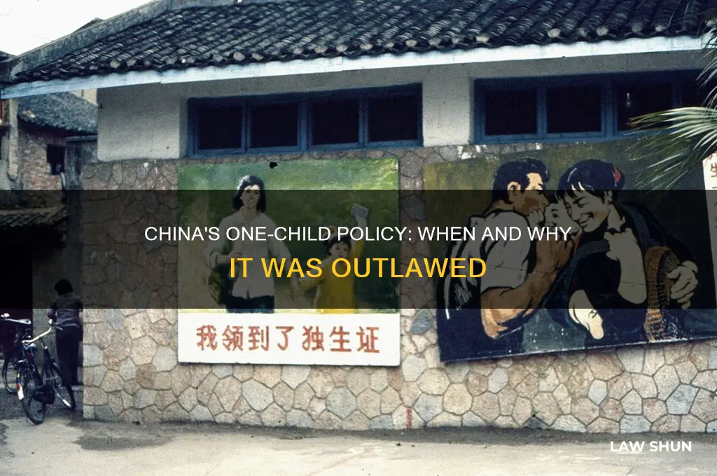 when did china outlaw the one child law
