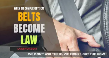 The Evolution of Seat Belt Laws: Compulsory Safety