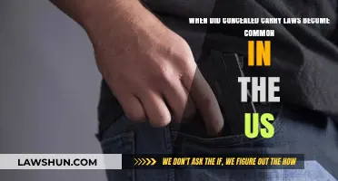 Concealed Carry Laws: When Did They Become Commonplace?