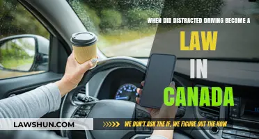Distracted Driving Laws: Canada's Strict Rules and Regulations