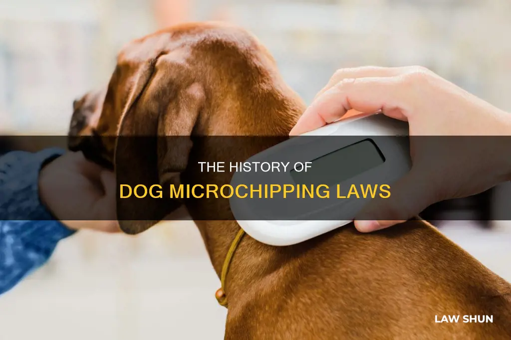 when did dog microchipping become law