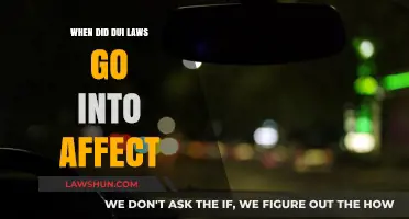 The Evolution of DUI Laws: When Did They Take Effect?