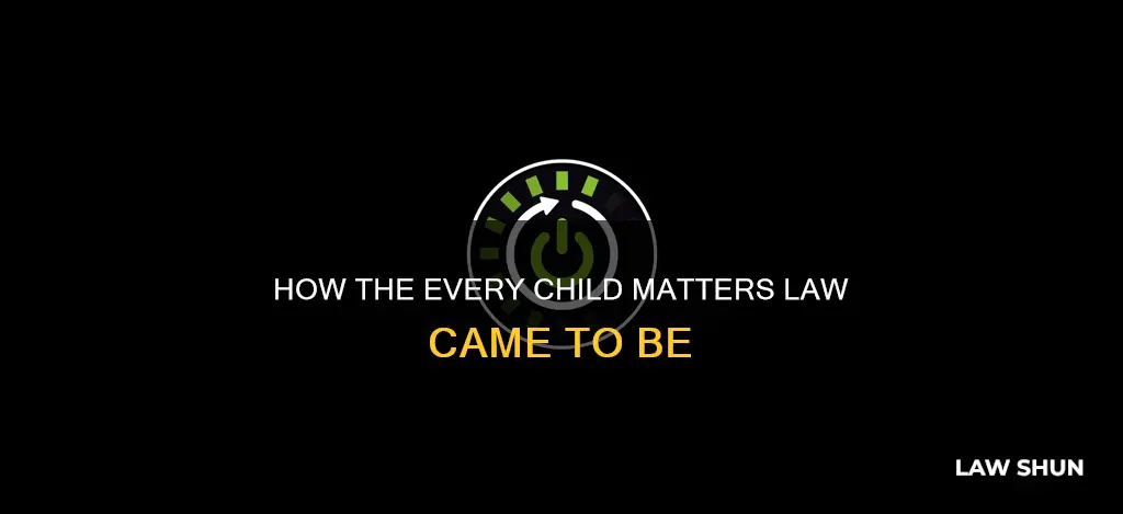 when did every child matters become law