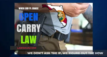 Florida's Open Carry Law: A Historical Overview of Its Enactment