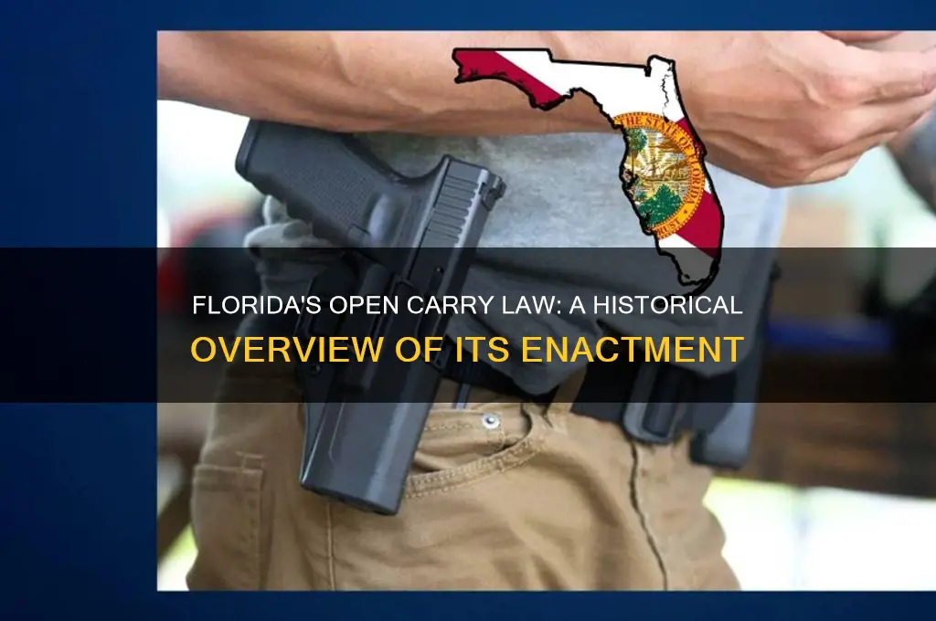 when did fl enace open carry law