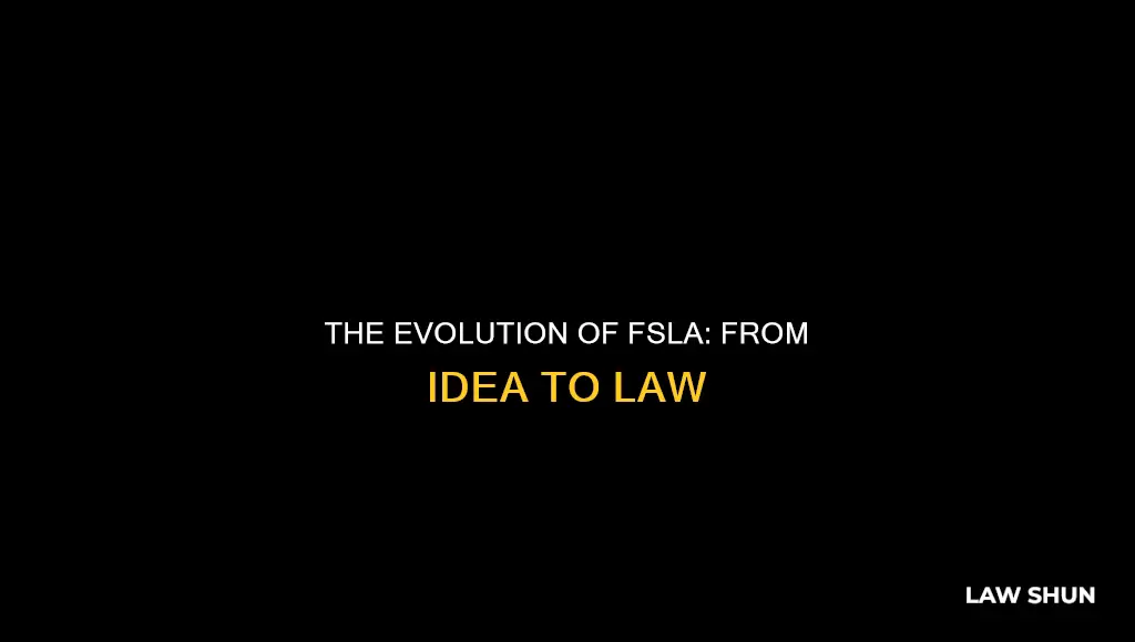 when did flsa become law