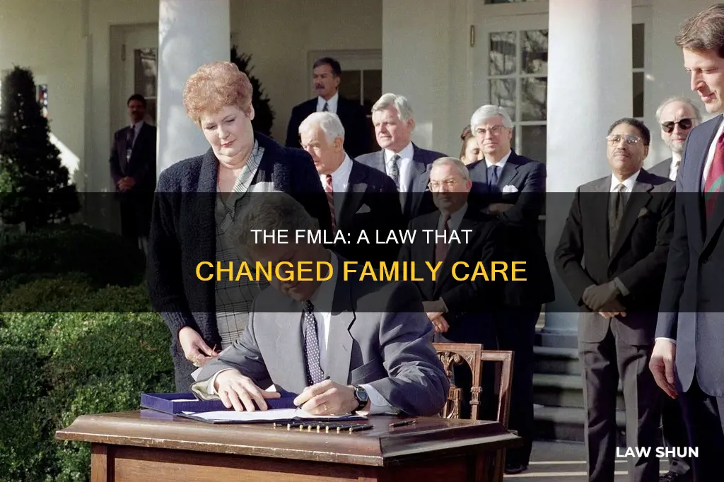 when did fmla become a law