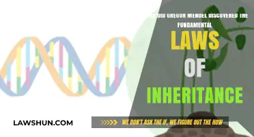 Gregor Mendel's Groundbreaking Discovery of Inheritance Laws: A Timeline