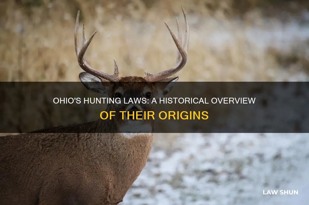 when did hunting laws in ohio start