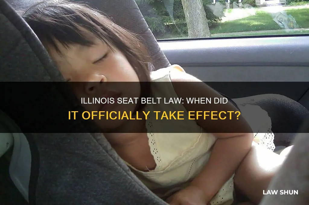 when did illiniis seat belt law take affect