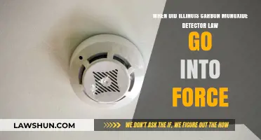 Illinois Carbon Monoxide Detector Law: Effective Date and Compliance