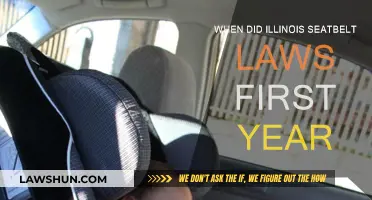 Illinois's First Seatbelt Law: When Did It Begin?