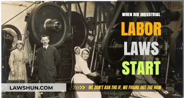 The Origins of Industrial Labor Laws: A Historical Overview
