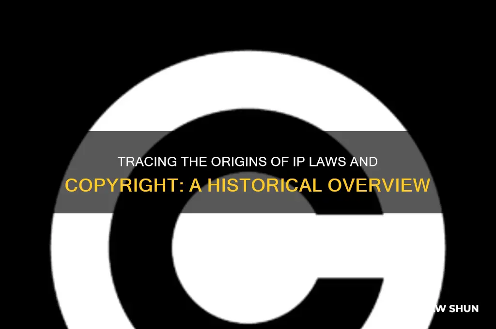 when did ip laws and copyright come out