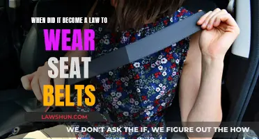 The Evolution of Seat Belt Laws: From Freedom to Safety