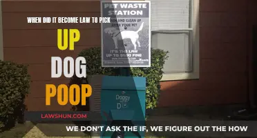 The History of Dog Poop Laws: Who, What, When?