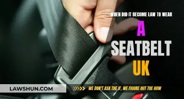 The Evolution of Seatbelt Laws in the UK