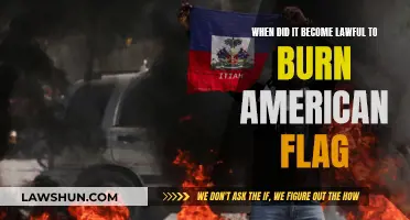 The American Flag: Free Speech and the Right to Burn