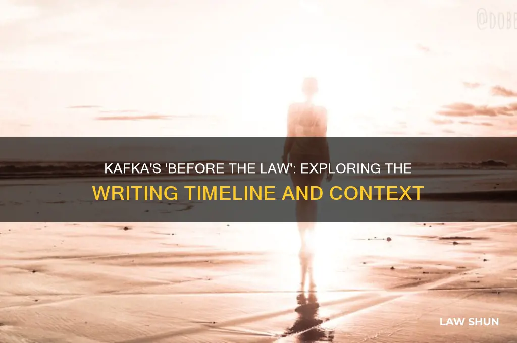 when did kafka write before the law