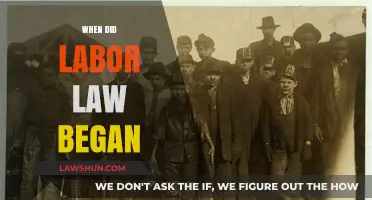 The Origins of Labor Law: A Historical Journey to Workers' Rights