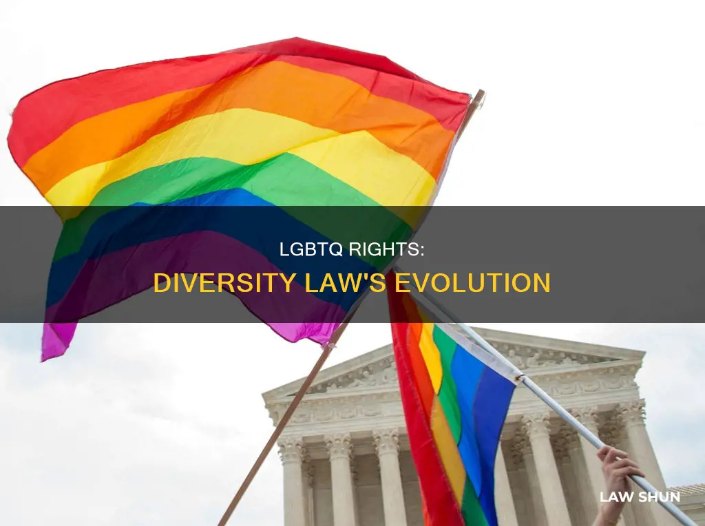 when did lgbtq become part of the diversity law