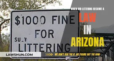 Arizona's Anti-Littering Laws: When Did They Start?