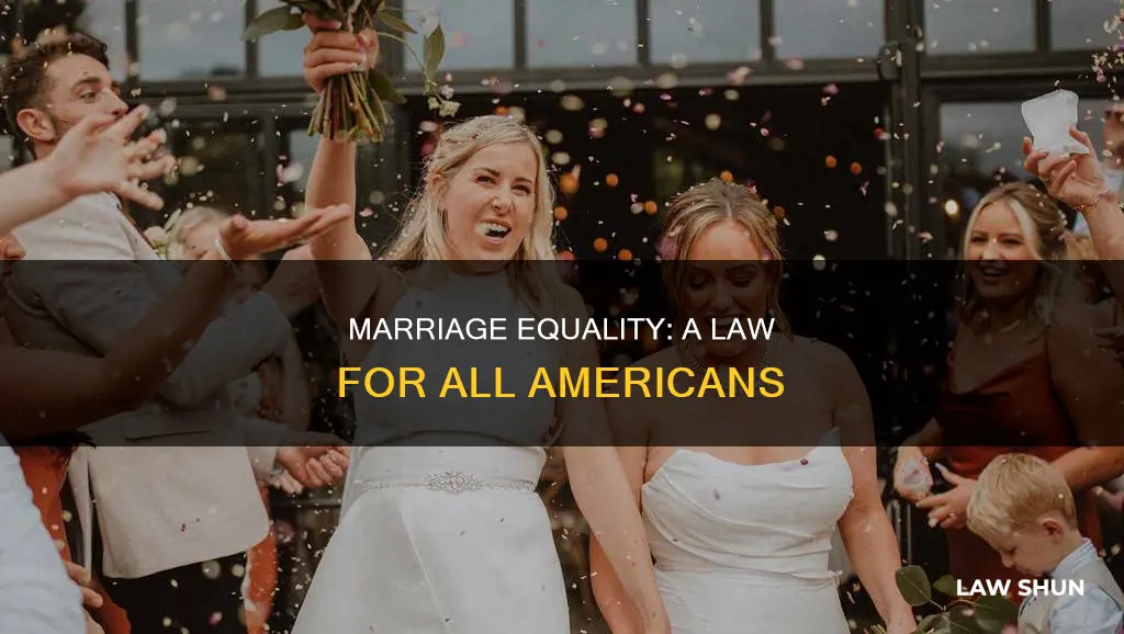 when did marriage equality become the law of the land