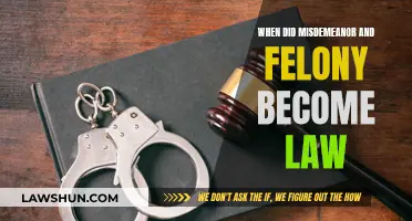 Misdemeanor and Felony: A Historical Legal Perspective