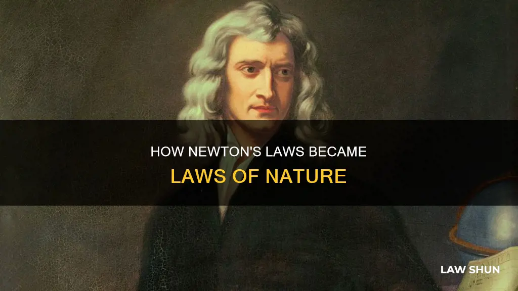 when did newton laws become laws