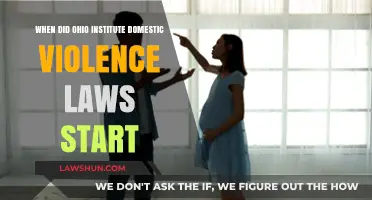 Ohio's Domestic Violence Laws: Origins and Early Implementation Timeline