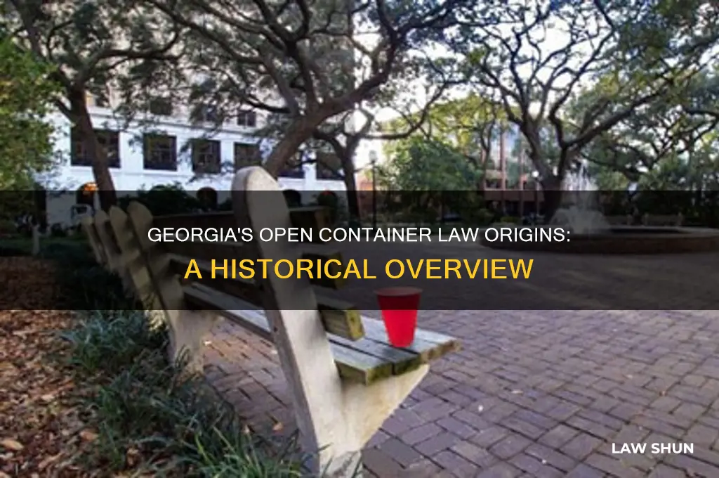 when did open container law start for georgia