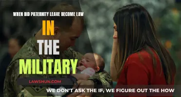 Paternity Leave: Military Law and New Fathers