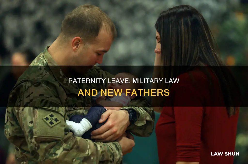 when did paternity leave become law in the military