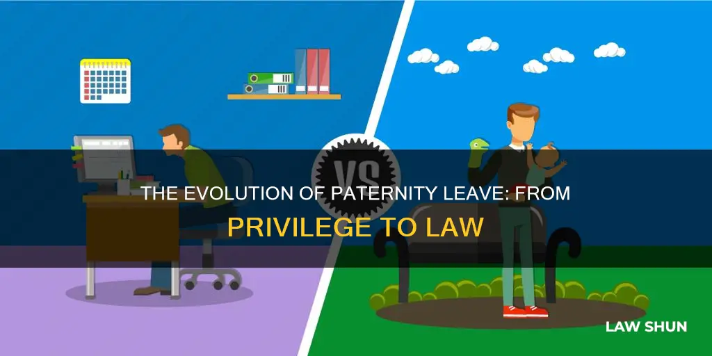 when did paternity leave become law