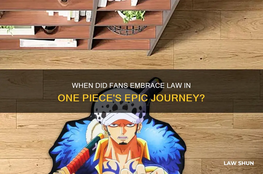 when did people start liking law one piece