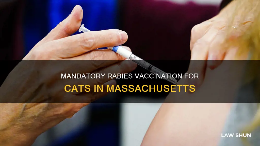 when did rabies vacination for cats become law in ma