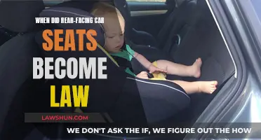 Rear-Facing Car Seats: A Mandatory Safety Law for Children