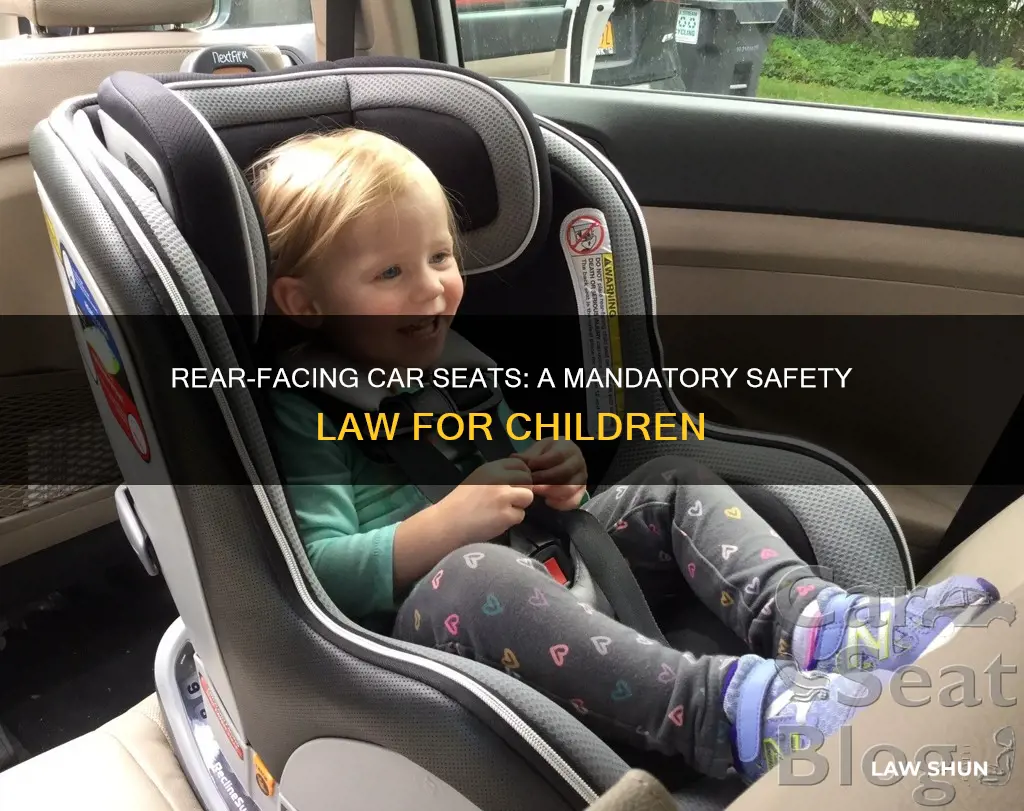 when did rear-facing car seats become law