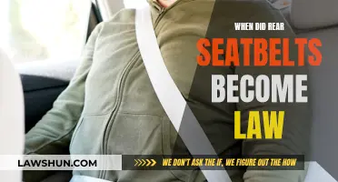 Rear Seatbelt Laws: A Historical Safety Perspective