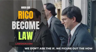 History of RICO Law: A Look Back