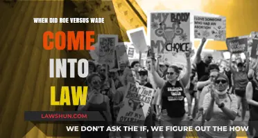 Roe v. Wade: The Landmark Abortion Rights Decision's Legal Journey