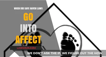 Safe Haven Laws: When Did They Take Effect in the U.S.?