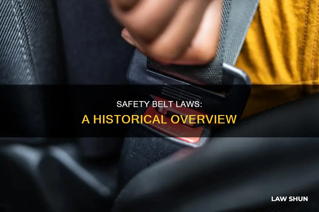 when did safety belts become law