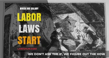 The Evolution of Salary Labor Laws: A Historical Overview