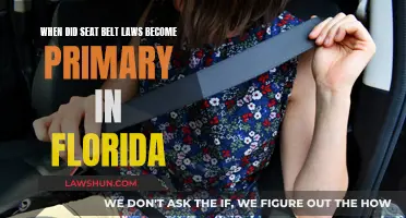 Florida's Primary Seat Belt Laws: When Did They Start?